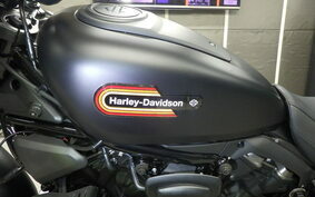 HARLEY RH975S 2024