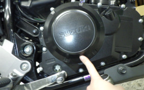 SUZUKI V-STROM 250