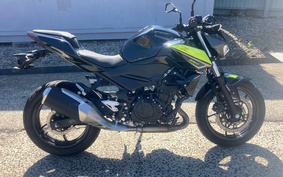 KAWASAKI Z250ABS EX250P