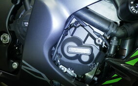 KAWASAKI ZX 10 NINJA R SE 2019 ZXT02E