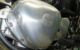 KAWASAKI W800 2020 EJ800B