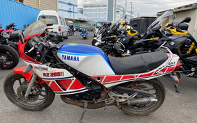 YAMAHA RZ250RR 29L