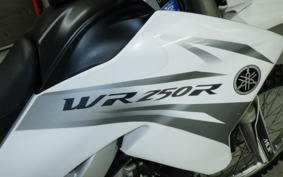 KAWASAKI WR250R DG15J