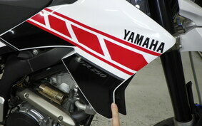 YAMAHA WR250X DG15J