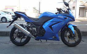 KAWASAKI NINJA 250R 2008 EX250K