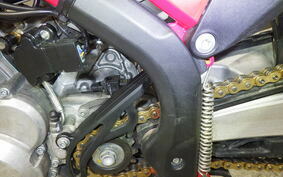 GASGAS EC 250