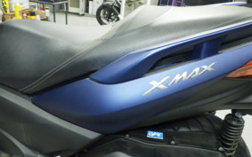 OTHER X-MAX250A SG42J