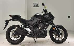 YAMAHA MT-25 A RG74J