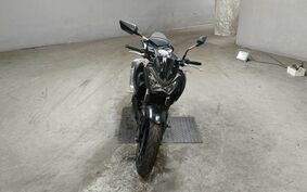 KAWASAKI Z250 ER250C