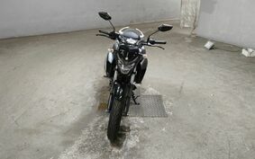 YAMAHA FZ25 不明