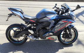 KAWASAKI NINJA ZX 25 R SE ZX250E