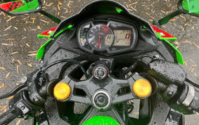 KAWASAKI NINJA ZX 25 ZX250E