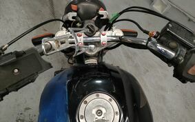 YAMAHA VIRAGO 250 2002 3DM