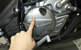 SUZUKI DL650 ( V-Strom 650 ) 2021 C733A