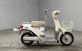 YAMAHA PASSOL 2T4