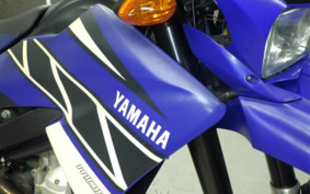 YAMAHA WR250X