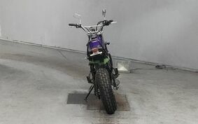 YAMAHA TW225 DG09J