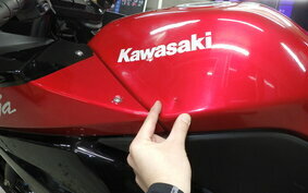 KAWASAKI NINJA 250R EX250K