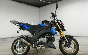 KAWASAKI Z125 PRO BR125H