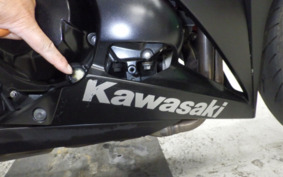 KAWASAKI NINJA 1000 2014