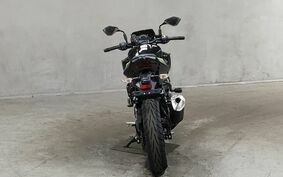 KAWASAKI Z250 EX250P