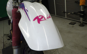 YAMAHA TT250R RAID 4GY