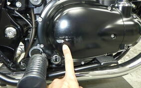 KAWASAKI W800 CAFE 2022 EJ800E