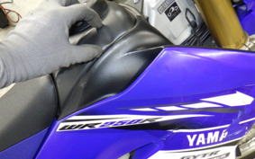 YAMAHA WR250R DG15J