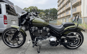 HARLEY FXBRS 2022 YHK