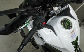 KAWASAKI VERSYS 250 A LE250D