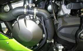 KAWASAKI NINJA ZX-6R A 2022 ZX636G