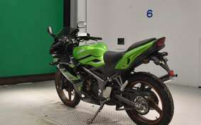 KAWASAKI NINJA150RR KR150P