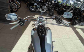 HARLEY FXDL 2016 GN4