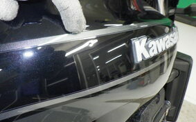 KAWASAKI ZRX1200 D 2014 ZRT20D