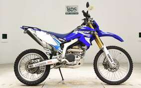 YAMAHA WR250R DG15J