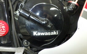 KAWASAKI GPX250R EX250E