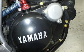 YAMAHA TW225 DG09J