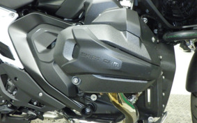 BMW R1300GS 2024