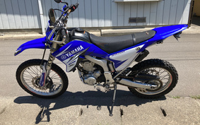 YAMAHA WR250R DG15J