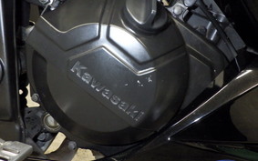 KAWASAKI NINJA 250