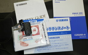 YAMAHA X-MAX 250 A SG42J