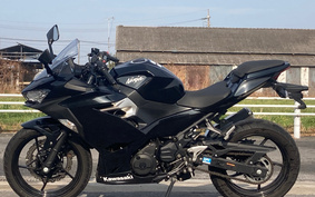 KAWASAKI Ninja 250 ABS 250