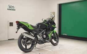 KAWASAKI NINJA150RR KR150P