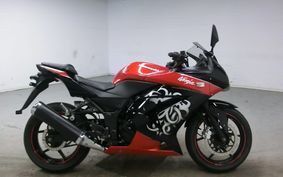 KAWASAKI NINJA 250R 2010 EX250K