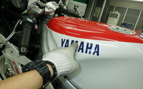 YAMAHA FZR250 R 3LN