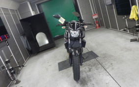 YAMAHA MT-25 RG43J