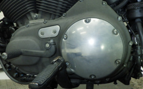 HARLEY XL1200N 2010