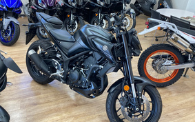 YAMAHA MT-25 RG74J