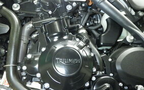 TRIUMPH SPEED TRIPLE 2013