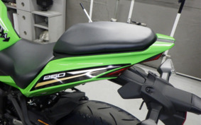 KAWASAKI ZX-25R ZX250E